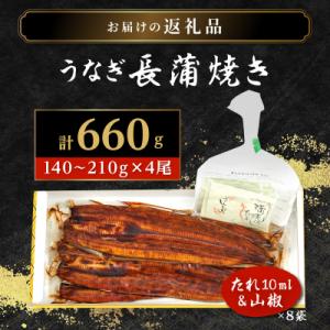 ふるさと納税 大崎町 鹿児島県産うなぎ長蒲焼4尾の詳細画像1