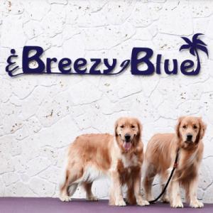 ふるさと納税 淡路市 貸別荘BreezyBlue淡路島 ご利用券【10月〜3月宿泊限定】10,000...