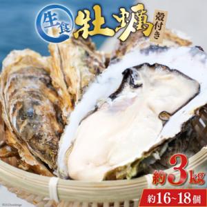 ふるさと納税 気仙沼市 【期間限定発送】  牡蠣 3〜4年モノ 殻付き 約3kg(約16-18個入)...
