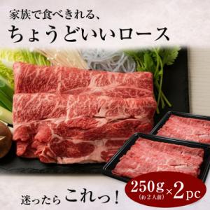 ふるさと納税 淡路市 淡路牛ロースすき焼き肉ス...の詳細画像1