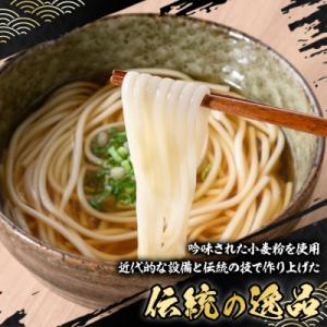 ふるさと納税 いちき串木野市 うどん麺 丸麺タ...の詳細画像1