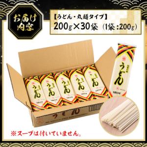 ふるさと納税 いちき串木野市 うどん麺丸麺タイ...の詳細画像3