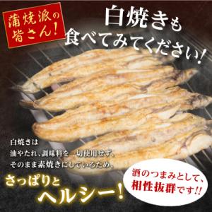 ふるさと納税 大崎町 鹿児島県産うなぎ長蒲焼 ...の詳細画像2