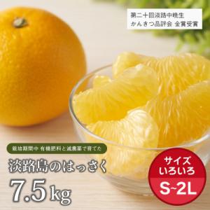 ふるさと納税 淡路市 片山農園の淡路島のはっさく7.5kg【サイズいろいろS〜2Lサイズ】　ak03...