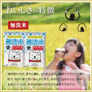 ふるさと納税 大館市 【令和7年産】秋田県産あ...の詳細画像1