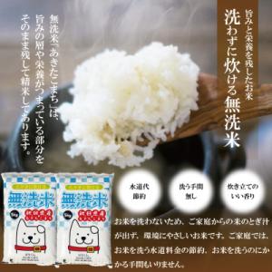 ふるさと納税 大館市 【令和7年産】秋田県産あ...の詳細画像2
