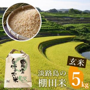 ふるさと納税 淡路市 《玄米》淡路島の棚田米 5kg　ae01080