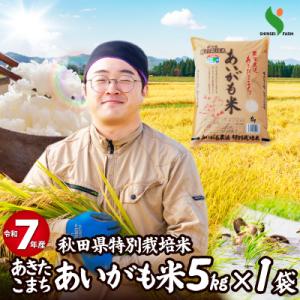 ふるさと納税 大館市 【令和7年産】秋田県特別栽培米あきたこまち「あいがも米」5kg