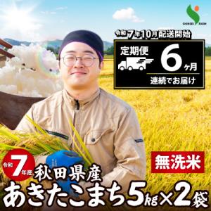 ふるさと納税 大館市 【定期便6ヶ月】令和7年秋田県産あきたこまち(無洗米)　10kg