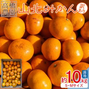ふるさと納税 香南市 【11月中旬より順次配送】訳あり 山北みかん 小玉 B品 10kg 甘い 糖度...