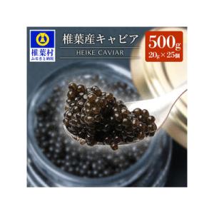 ふるさと納税 椎葉村 【世界三大珍味×日本三大秘境】HEIKE CAVIAR 500g 【20g×2...