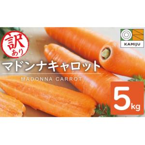 ふるさと納税 碧南市 (TVで紹介)【訳あり】こ...の商品画像