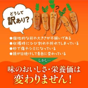 ふるさと納税 碧南市 (TVで紹介)【訳あり】...の詳細画像2