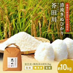 ふるさと納税 加西市 無洗米【令和8年産 事前受付】キヌヒカリ 約9.2kg [無洗米] 精米[No5698-7829]