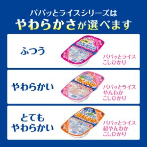 ふるさと納税 焼津市 パパッとライス やんわか...の詳細画像3