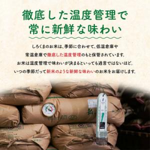 ふるさと納税 三条市 新潟県産 無洗米 新之助...の詳細画像2