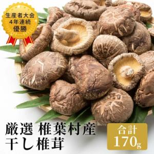 ふるさと納税 椎葉村 【厳選】椎葉産 干し椎茸 170g 原木 乾しいたけ 産地直送 JA-21