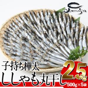 ふるさと納税 佐伯市 子持ち樺太ししゃも丸干し (計2.5kg・500g×5袋)