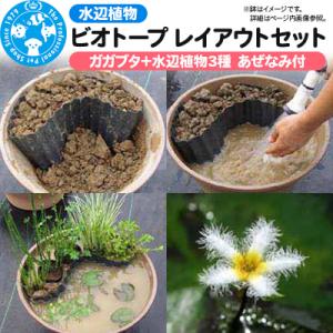 ふるさと納税 邑楽町 水辺植物 ビオトープレイアウトセット|09_chm-a90101