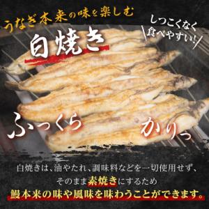 ふるさと納税 大崎町 鹿児島県産うなぎカット白...の詳細画像1