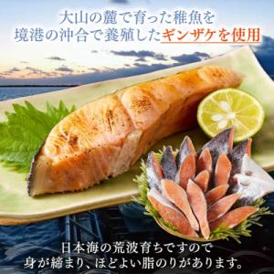 ふるさと納税 境港市 <新規格>鳥...の詳細画像1