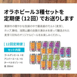 ふるさと納税 東御市 【12回定期便】オラホビール3種飲み比べ20本セット