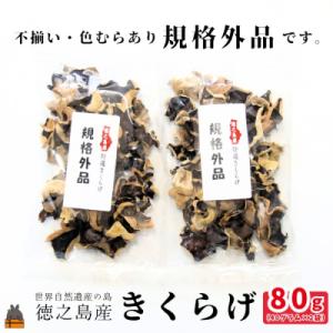ふるさと納税 徳之島町 《訳あり》安心・安全 徳之島産きくらげ(規格外品)80g(40g×2袋)