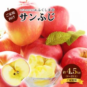 ふるさと納税 福島市 サンふじりんご 訳あり ご家庭用　約4.5kg【2025年度発送】 No.27...