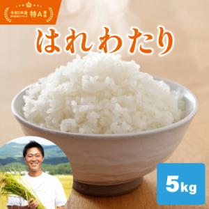 ふるさと納税 五所川原市 新米 令和8年産米 5kg はれわたり 米 特A 精米 こめ 青森 【先行...