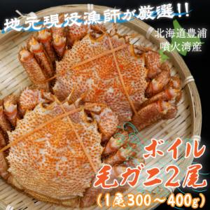 ふるさと納税 豊浦町 【地元現役漁師が厳選!!】ボイル・毛ガニ2尾(1尾300〜400g) TYUR...