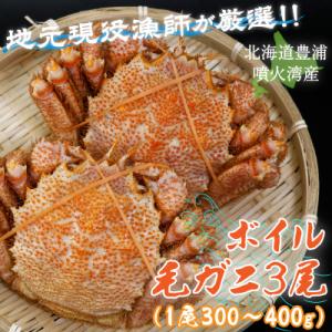 ふるさと納税 豊浦町 【地元現役漁師が厳選!!】ボイル・毛ガニ3尾(1尾300〜400g) TYUR...