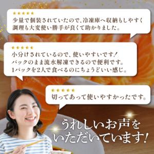 ふるさと納税 気仙沼市 訳あり サーモン 切り...の詳細画像3