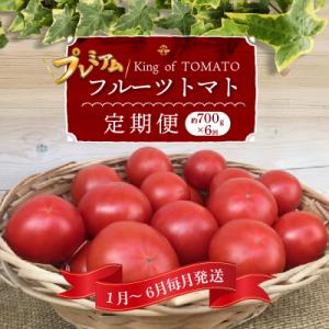 ふるさと納税 碧南市 1月〜6月毎月発送　プレミアムフルーツトマトの定期便6回コース　H004-17...