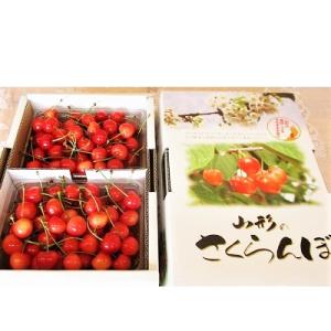 ふるさと納税 上山市 さくらんぼ(佐藤錦)800g　ご家庭用　0025-2602