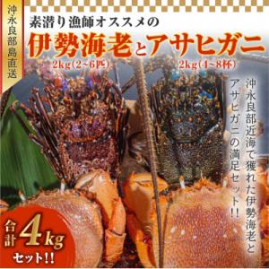 ふるさと納税 和泊町 沖永良部島直送!素潜り漁師オススメの伊勢海老2キロ(2〜6匹)とアサヒガニ2キ...