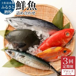 ふるさと納税 土佐清水市 【3回定期便】おまかせ!季節の鮮魚 お楽しみセット(ブロンズコース)魚介 ...