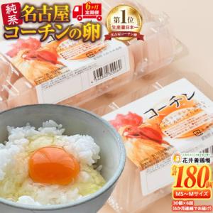 ふるさと納税 大府市 【6か月定期便】日本三大地鶏!! 「純系　名古屋コーチンの卵」(30個)