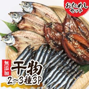 ふるさと納税 土佐清水市 【お試し 干物セット】季節の魚入り 干物詰め合わせセット 2〜3種類【乾物...