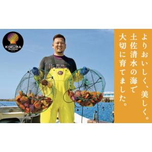 ふるさと納税 土佐清水市 【9月発送】冷凍 ヒ...の詳細画像2