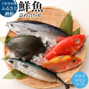 ふるさと納税 土佐清水市 おまかせ!季節の鮮魚 お楽しみセット(アクアマリンコース)食べ比べ 天然魚...