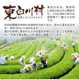 ふるさと納税 東白川村 【返礼品無し】1000...の詳細画像1