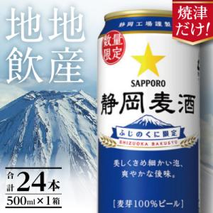 ふるさと納税 松田町 【松田町オリジナル】麦芽100%クラフトビール
