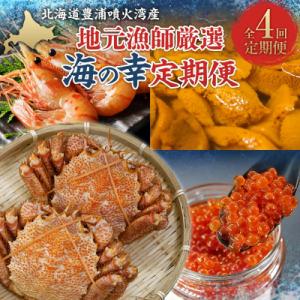 ふるさと納税 豊浦町 【定期便4回】 地元漁師厳選 噴火湾産 海の幸 (年4回コース) 北海道 豊浦...