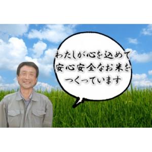 ふるさと納税 阿賀野市 【令和8年産新米先行受...の詳細画像1