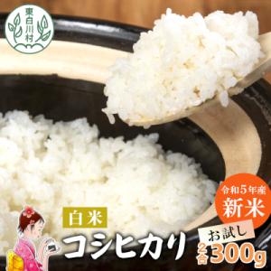 ふるさと納税 東白川村 東白川村産 コシヒカリ 白米 お試し2合 300g