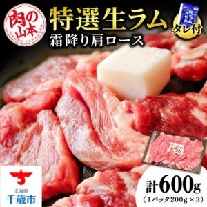 ふるさと納税 千歳市 特撰 生ラム (冷凍)タレ付 600g＜肉の山本＞