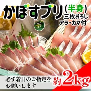 ふるさと納税 臼杵市 先行受付≪着日指定必須≫さっぱり美味い「うすき産(養殖)かぼすブリ」 (半身)