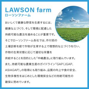 ふるさと納税 岩内町 ローソンファーム北海道岩...の詳細画像2