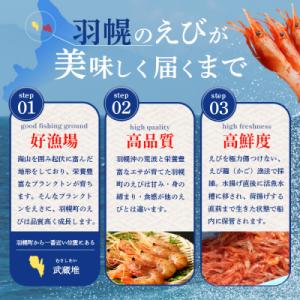 ふるさと納税 羽幌町 【訳あり】 ぼたんえび ...の詳細画像2