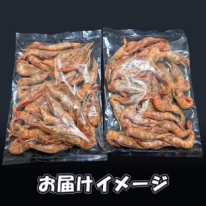ふるさと納税 羽幌町 【訳あり】 ぼたんえび ...の詳細画像3